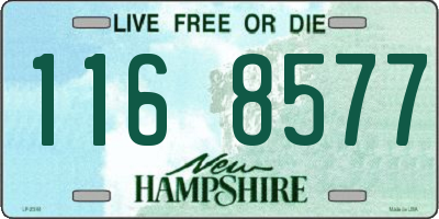 NH license plate 1168577