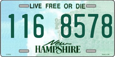 NH license plate 1168578