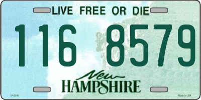 NH license plate 1168579