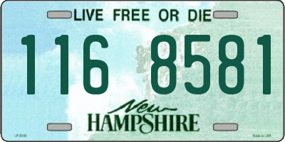 NH license plate 1168581