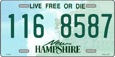 NH license plate 1168587