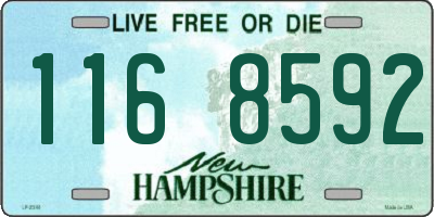 NH license plate 1168592