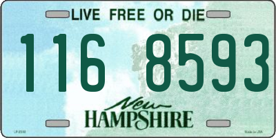 NH license plate 1168593