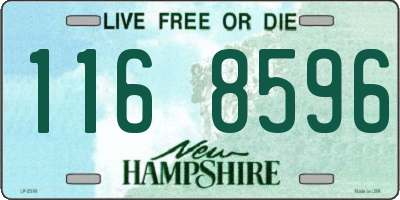 NH license plate 1168596