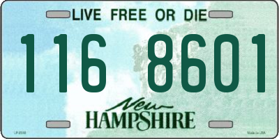 NH license plate 1168601