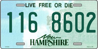 NH license plate 1168602
