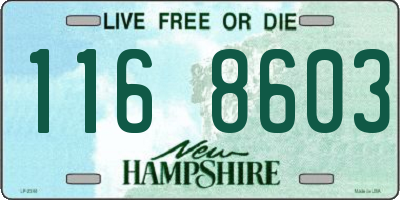 NH license plate 1168603