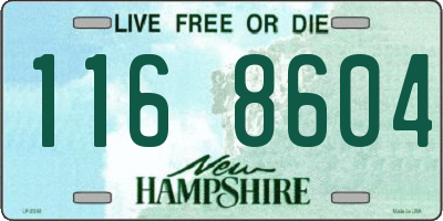NH license plate 1168604
