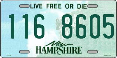 NH license plate 1168605
