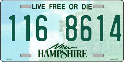 NH license plate 1168614