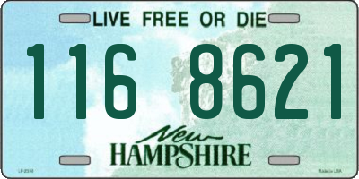 NH license plate 1168621