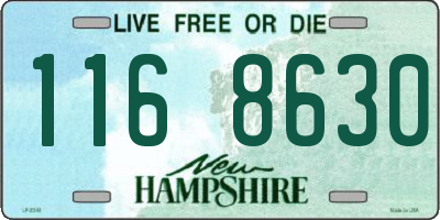 NH license plate 1168630