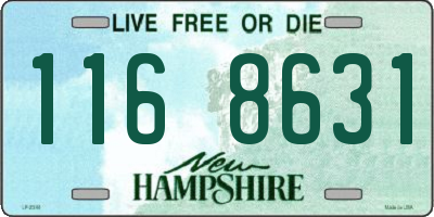 NH license plate 1168631