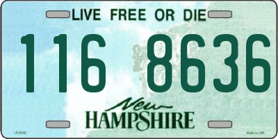 NH license plate 1168636