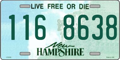 NH license plate 1168638