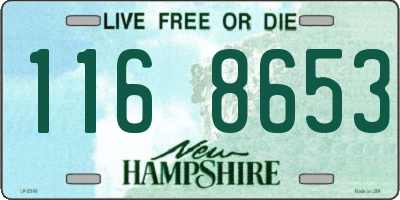 NH license plate 1168653