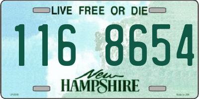 NH license plate 1168654