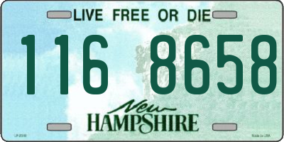 NH license plate 1168658
