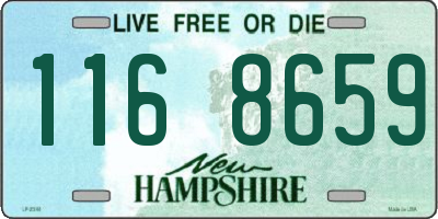NH license plate 1168659