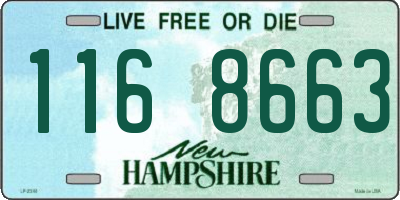 NH license plate 1168663