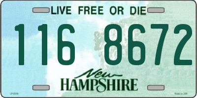 NH license plate 1168672