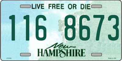 NH license plate 1168673