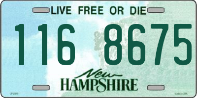 NH license plate 1168675