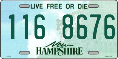 NH license plate 1168676