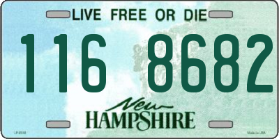 NH license plate 1168682