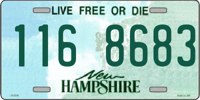 NH license plate 1168683