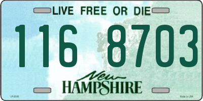 NH license plate 1168703
