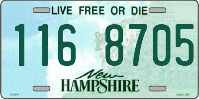 NH license plate 1168705