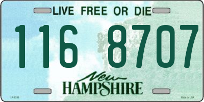NH license plate 1168707