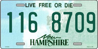 NH license plate 1168709