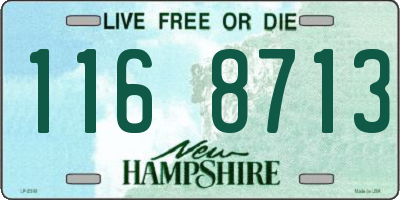 NH license plate 1168713