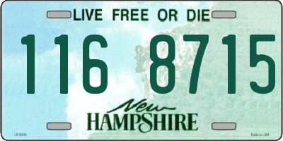 NH license plate 1168715
