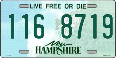 NH license plate 1168719
