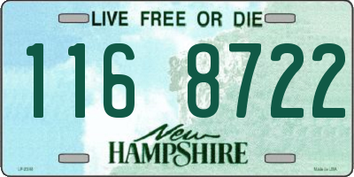 NH license plate 1168722