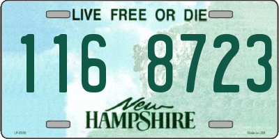 NH license plate 1168723