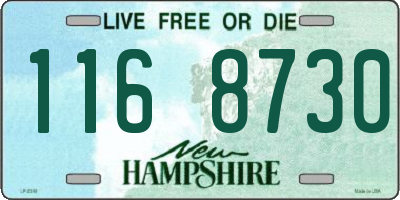 NH license plate 1168730