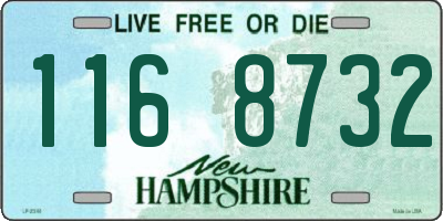 NH license plate 1168732