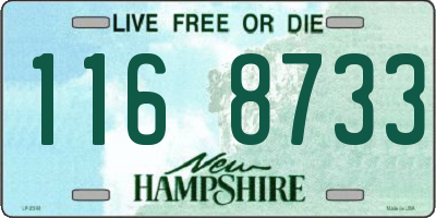 NH license plate 1168733