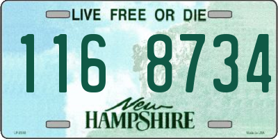 NH license plate 1168734