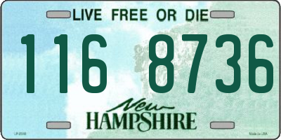NH license plate 1168736