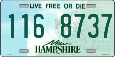 NH license plate 1168737