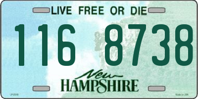NH license plate 1168738