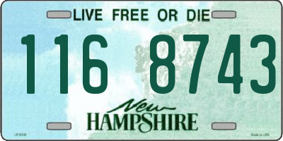 NH license plate 1168743
