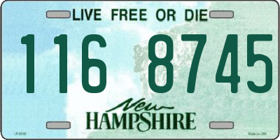 NH license plate 1168745