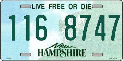 NH license plate 1168747