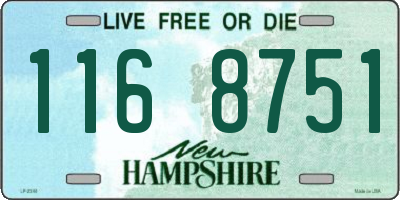 NH license plate 1168751